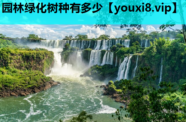 园林绿化树种有多少